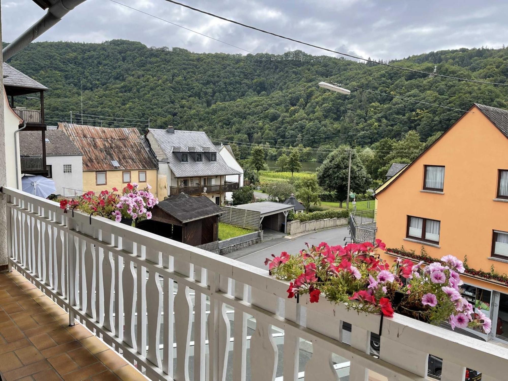 Hotel Zur Mosel Minheim Kültér fotó